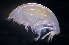  ( - 31830_19)  @13 [ ] Unspecified (default): All Rights Reserved  Unspecified Unspecified