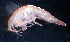  ( - 31830_38)  @13 [ ] Unspecified (default): All Rights Reserved  Unspecified Unspecified