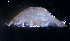  ( - 31841_12.2)  @12 [ ] Unspecified (default): All Rights Reserved  Unspecified Unspecified