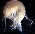 ( - 31848_20)  @13 [ ] Unspecified (default): All Rights Reserved  Unspecified Unspecified