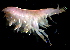  ( - 31857_08)  @13 [ ] Unspecified (default): All Rights Reserved  Unspecified Unspecified
