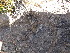  ( - CMIAO116)  @11 [ ] Unspecified (default): All Rights Reserved  Unspecified Unspecified