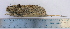  ( - CMIAO135)  @13 [ ] Unspecified (default): All Rights Reserved  Unspecified Unspecified