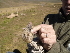  ( - CMIAO186)  @14 [ ] Unspecified (default): All Rights Reserved  Unspecified Unspecified