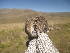  ( - CMIAO202)  @13 [ ] Unspecified (default): All Rights Reserved  Unspecified Unspecified