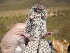  ( - CMIAO202)  @13 [ ] Unspecified (default): All Rights Reserved  Unspecified Unspecified