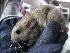  ( - CMIAO276)  @11 [ ] Unspecified (default): All Rights Reserved  Unspecified Unspecified