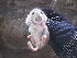  ( - CMIAO276)  @11 [ ] Unspecified (default): All Rights Reserved  Unspecified Unspecified