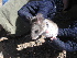 ( - CMIAO289)  @11 [ ] Unspecified (default): All Rights Reserved  Unspecified Unspecified