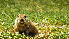 ( - CMIAO292)  @11 [ ] Unspecified (default): All Rights Reserved  Unspecified Unspecified