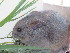  ( - CMIAO373)  @11 [ ] Unspecified (default): All Rights Reserved  Unspecified Unspecified