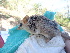  ( - CMIPLS137)  @11 [ ] Unspecified (default): All Rights Reserved  Unspecified Unspecified