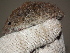  ( - CMIRAO300)  @13 [ ] Unspecified (default): All Rights Reserved  Unspecified Unspecified