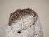  ( - CMIRAO300)  @14 [ ] Unspecified (default): All Rights Reserved  Unspecified Unspecified