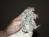  ( - CMIRAO300)  @13 [ ] Unspecified (default): All Rights Reserved  Unspecified Unspecified