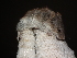 ( - CMIRAO301)  @13 [ ] Unspecified (default): All Rights Reserved  Unspecified Unspecified