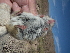  ( - CMIRAO303)  @11 [ ] Unspecified (default): All Rights Reserved  Unspecified Unspecified