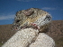  ( - CMIRAO304)  @11 [ ] Unspecified (default): All Rights Reserved  Unspecified Unspecified
