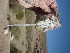 ( - CMIRAO305)  @11 [ ] Unspecified (default): All Rights Reserved  Unspecified Unspecified