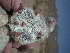  ( - CMIRAO313)  @13 [ ] Unspecified (default): All Rights Reserved  Unspecified Unspecified