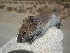  ( - CMIRAO314)  @14 [ ] Unspecified (default): All Rights Reserved  Unspecified Unspecified