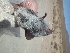  ( - CMIRAO314)  @13 [ ] Unspecified (default): All Rights Reserved  Unspecified Unspecified