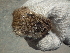 ( - CMIRAO321)  @12 [ ] Unspecified (default): All Rights Reserved  Unspecified Unspecified