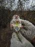  ( - CMISA42)  @11 [ ] Unspecified (default): All Rights Reserved  Unspecified Unspecified
