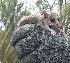  ( - CMISADR16)  @11 [ ] Unspecified (default): All Rights Reserved  Unspecified Unspecified