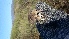  ( - CMISADR160)  @11 [ ] Unspecified (default): All Rights Reserved  Unspecified Unspecified