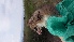  ( - CMISADR177)  @11 [ ] Unspecified (default): All Rights Reserved  Unspecified Unspecified