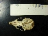  ( - UNLlz17)  @11 [ ] Unspecified (default): All Rights Reserved  Unspecified Unspecified