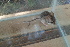  ( - UNSL-ACO38)  @11 [ ] Unspecified (default): All Rights Reserved  Unspecified Unspecified