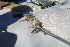  ( - UNSL-ACO53)  @11 [ ] Unspecified (default): All Rights Reserved  Unspecified Unspecified