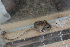  ( - UNSL-ACO61)  @11 [ ] Unspecified (default): All Rights Reserved  Unspecified Unspecified