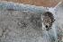  ( - UNSL-ACO86)  @11 [ ] Unspecified (default): All Rights Reserved  Unspecified Unspecified