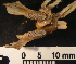  ( - CMI AN55)  @12 [ ] Unspecified (default): All Rights Reserved  Unspecified Unspecified