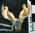  ( - CMI AO37)  @12 [ ] Unspecified (default): All Rights Reserved  Unspecified Unspecified