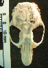  ( - CMI AN36)  @11 [ ] Unspecified (default): All Rights Reserved  Unspecified Unspecified