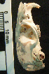  ( - CMI AN36)  @11 [ ] Unspecified (default): All Rights Reserved  Unspecified Unspecified