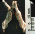  ( - CMI AN36)  @11 [ ] Unspecified (default): All Rights Reserved  Unspecified Unspecified
