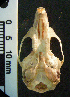  ( - CMI Lab1184)  @12 [ ] Unspecified (default): All Rights Reserved  Unspecified Unspecified