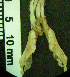  ( - CMI Lab1184)  @12 [ ] Unspecified (default): All Rights Reserved  Unspecified Unspecified
