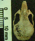  ( - CMI Lab1174)  @12 [ ] Unspecified (default): All Rights Reserved  Unspecified Unspecified