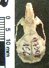  ( - CMI CL156)  @12 [ ] Unspecified (default): All Rights Reserved  Unspecified Unspecified