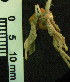  ( - CMI CL156)  @12 [ ] Unspecified (default): All Rights Reserved  Unspecified Unspecified