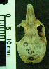  ( - CMI CL154)  @12 [ ] Unspecified (default): All Rights Reserved  Unspecified Unspecified