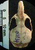  ( - CMI CL71)  @12 [ ] Unspecified (default): All Rights Reserved  Unspecified Unspecified