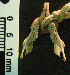  ( - CMI CL71)  @12 [ ] Unspecified (default): All Rights Reserved  Unspecified Unspecified