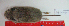  ( - CMI AN55)  @13 [ ] Unspecified (default): All Rights Reserved  Unspecified Unspecified
